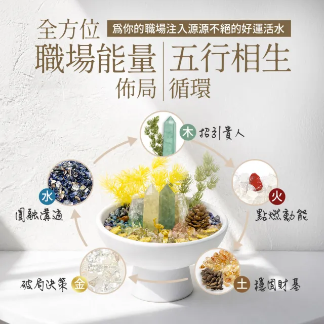 【雨揚】事業如意水晶聚寶盆(貴人/淨化/招財/事業/水晶)