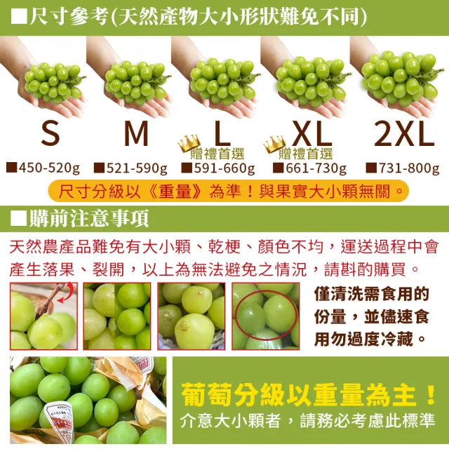 【甜露露】日本長野縣/山梨縣麝香葡萄L x1盒(591-660g/串 產地隨機出貨)