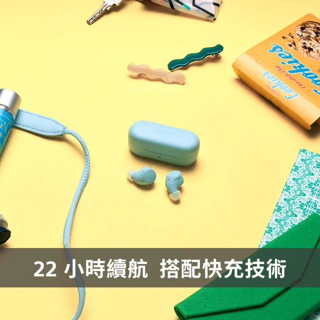 【SONY 索尼】WF-C510 真無線藍牙耳機(台灣公司貨保固12個月)