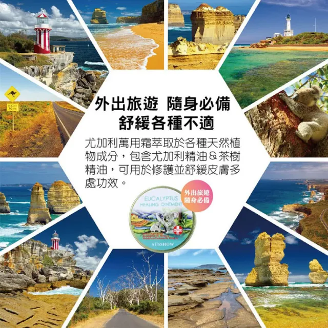 【AUS LIFE 澳思萊】尤加利舒緩全效霜x4入組(修護必備 寶媽適用)