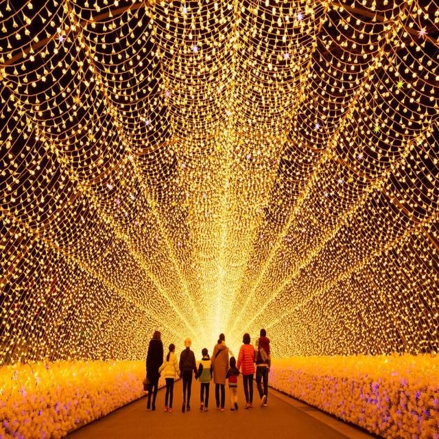 【喜鴻假期】★冬遊閃耀北陸５日★名古屋萬怡、鰻魚飯三吃、百萬燈海、合掌村、新穗高纜車、郡上八幡博物館