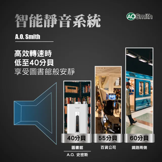 【A.O.Smith】AO史密斯 不鏽鋼瓦斯熱水器16L (JSQ31-ST16T NG1/FE式 含基本安裝 適用天然氣)