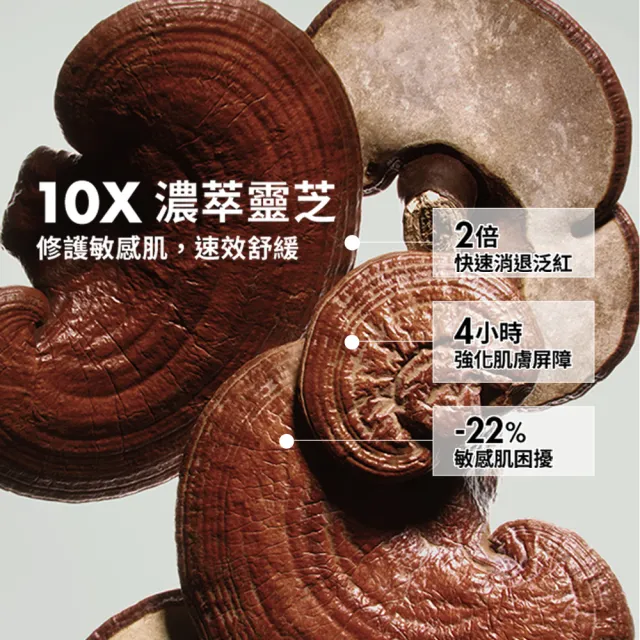 【ORIGINS 品木宣言】2026 全新升級 青春無敵靈芝光潤機能水400ml (化妝水/保濕/舒緩泛紅肌膚/新品)
