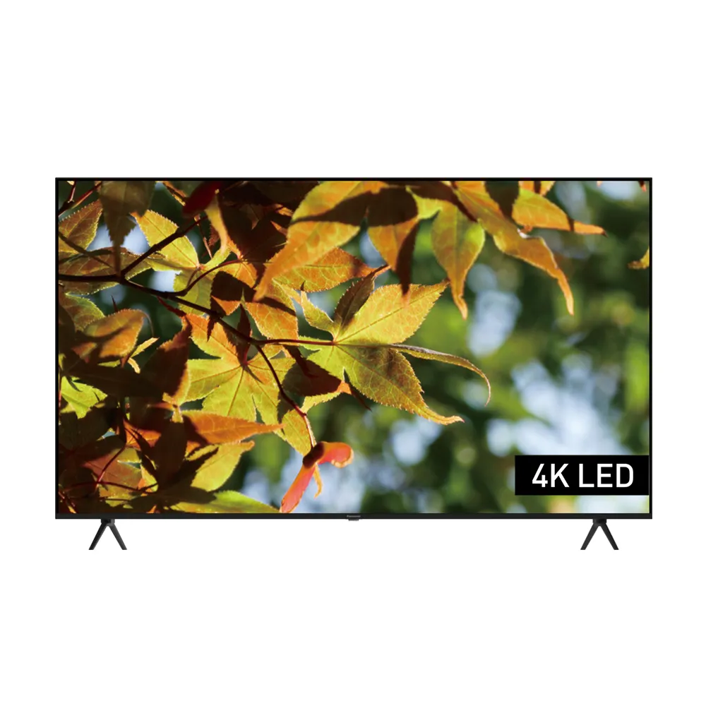 【Panasonic 國際牌】家電快配★65型 4K HDR GoogleTV 智慧聯網液晶顯示器(TN-65W79BGT)