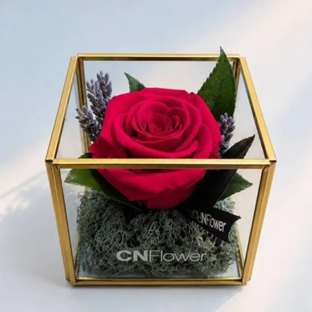 【CNFlower 西恩】花映時光 恆星花禮(方形金邊花器8cm)