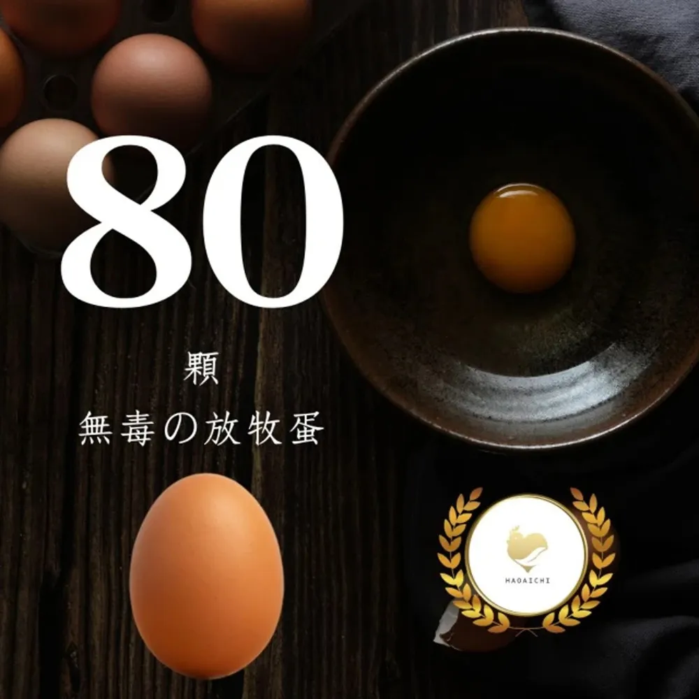 【HAOAICHI 好愛雞】無毒の放牧蛋 紅殼 大家庭8盒 共80顆(10顆/盒) 非籠飼 無藥殘 無毒飼料 雞蛋