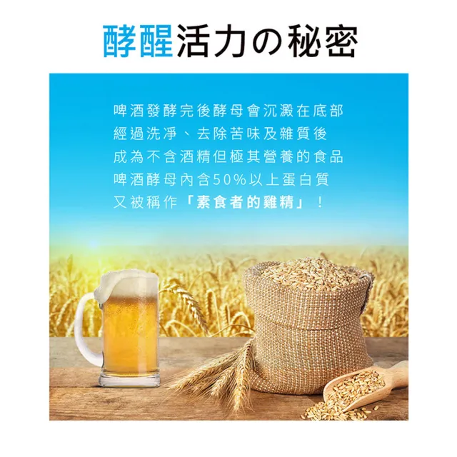 【NOW 健而婷】啤酒酵母(200顆/瓶)
