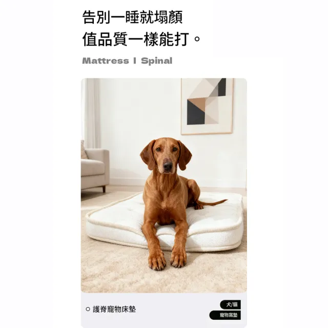 【IPSKY】中型犬專用狗狗床墊 高彈寵物狗床 防水可拆洗狗窩 寵物睡床 狗狗睡墊 室內寵物窩墊