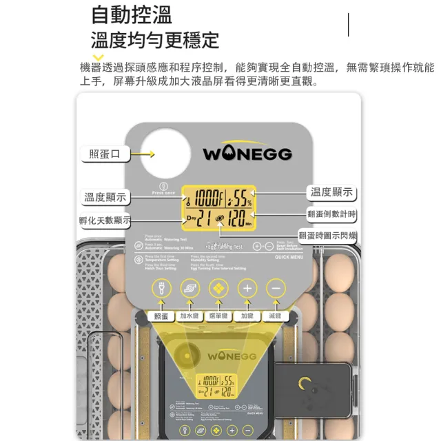 HOMI 好米居家 全自動孵化器 48枚 家用孵蛋機 智慧控溫控濕 雞鴨鵪鶉蛋孵化機 自動翻蛋照蛋