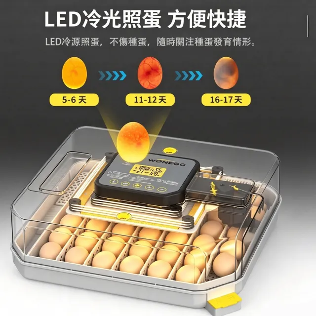 HOMI 好米居家 全自動孵化器 48枚 家用孵蛋機 智慧控溫控濕 雞鴨鵪鶉蛋孵化機 自動翻蛋照蛋