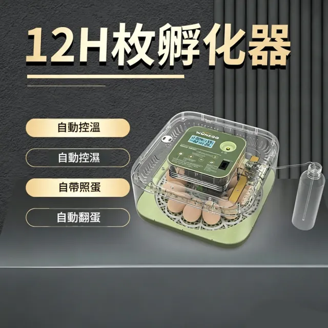 HOMI 好米居家 全自動孵蛋器 12枚 家用小型孵化器 智慧控溫控濕 自動翻蛋照蛋 雞鴨鵪鶉孵化機