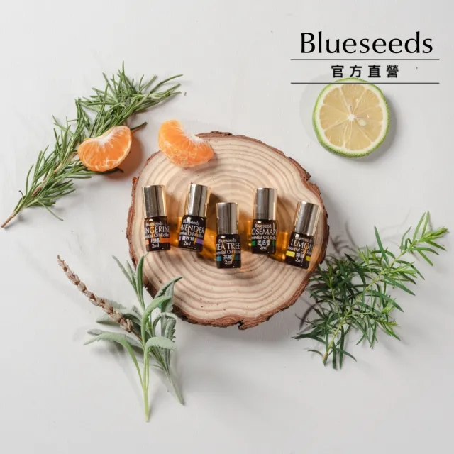 【Blueseeds】每日舒活滾珠按摩精油組5支入(薰衣草/柑橘/茶樹/迷迭香/檸檬)｜芙彤園
