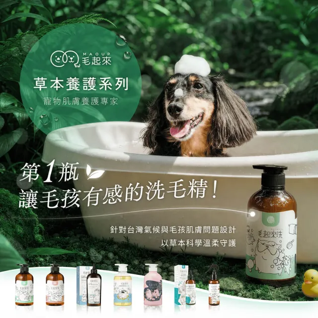 【MAOUP 毛起來】草本養護 癢癢退散寵物洗毛精汪汪專用500ml+3倍泡泡沐浴手套(狗洗毛精 狗沐浴乳)