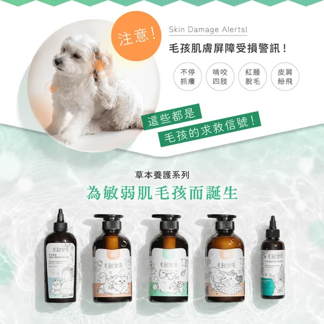 【MAOUP 毛起來】草本養護 癢癢退散寵物洗毛精汪汪專用500ml+3倍泡泡沐浴手套(狗洗毛精 狗沐浴乳)
