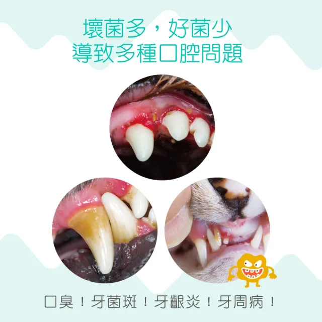 【IN-Plus】好好益菌潔牙拌拌 貓用 30g(寵物潔牙/口腔保健)