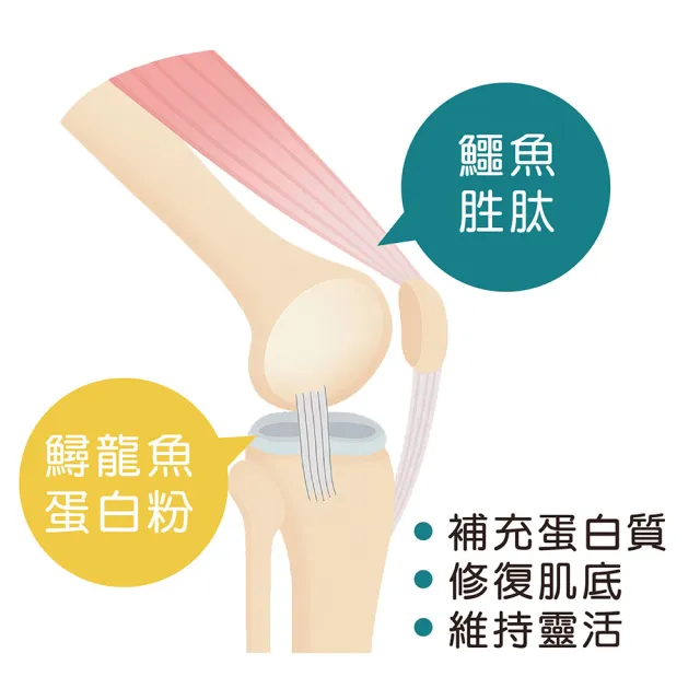 雍大生技｜1+1鱷有力｜軟骨素｜鱷魚鱘龍強效膠囊 (60粒/盒)