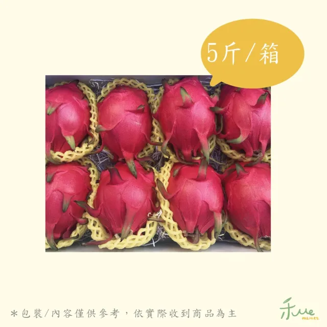 【禾ME】特選紅肉火龍果5斤X1盒(約8-10顆)雙十一組合