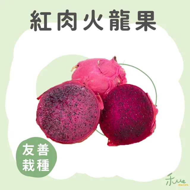 【禾ME】特大紅肉火龍果5斤1盒(約5-6顆)雙十一組合
