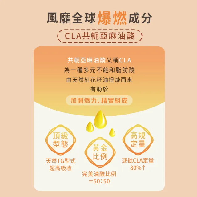 【BHK’s】紅花籽油CLA 軟膠囊 1盒(60粒/盒)