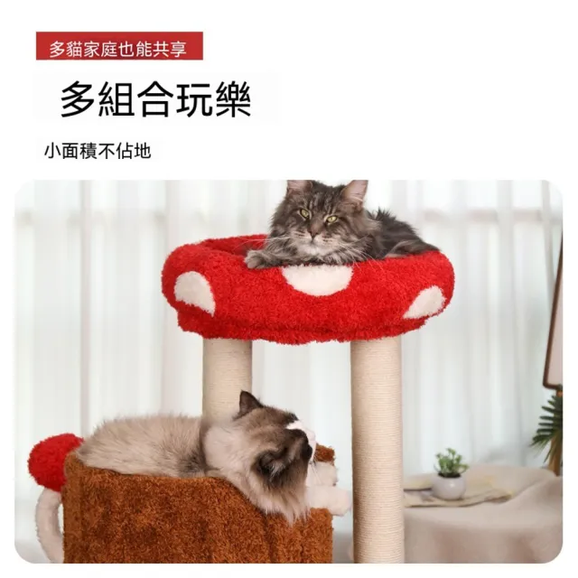 【MOOG 沐格】多層實木貓爬架 貓窩貓抓板一體 貓咪樹洞 貓跳台 玩睡磨爪 寵物家具