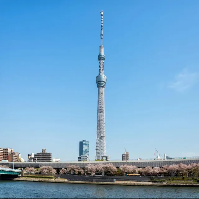 11-3/17月指定日期出發東京五日自由行★樂桃+飯店三選一(早去晚回含行李/兩人一室-單人券)