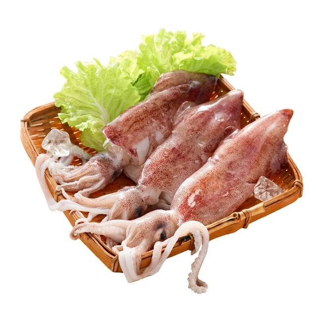 上億嚴選台灣東北角當季野生透抽
