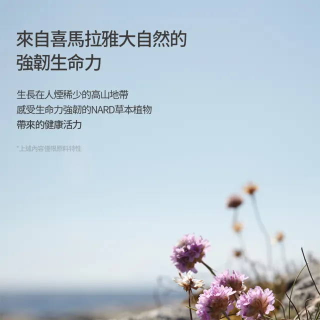 【NARD】草本修護沐浴露1000ml-2入(任選/薰衣草麝香/茶樹迷迭香/檸檬薄荷/木質玫瑰香)