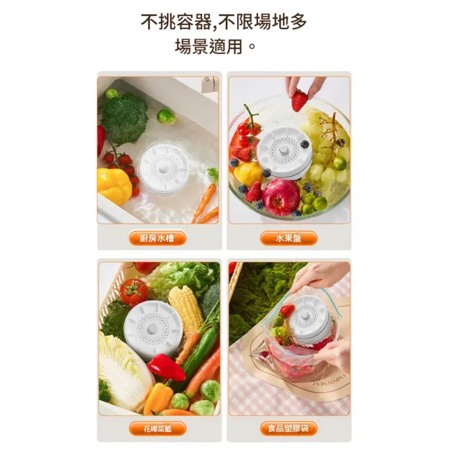 Eco森活 臭氧發生器 800mg/h（果蔬機 洗菜機 食材凈化機 果蔬清洗機 蔬果消毒機 負離子凈化機）
