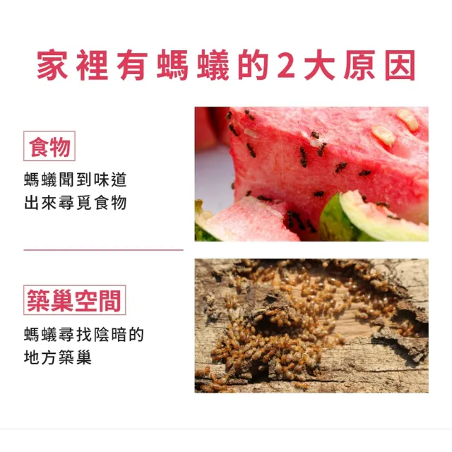 【福來朗】多效滅蟻2入組(水性除蟲噴霧*1+除螞蟻膏*1)