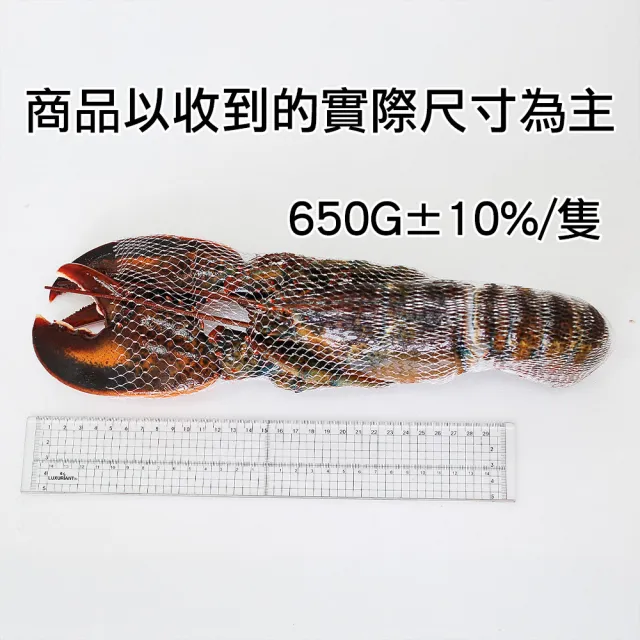 【優鮮配】高壓波士頓龍蝦650gX2隻/UHP黑盒/波龍第一品牌/HPP高壓殺菌 /蝦肉不黏殼