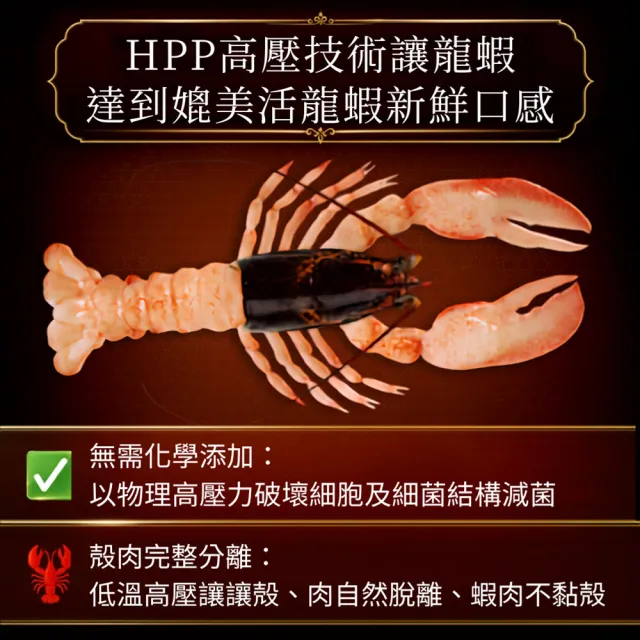【優鮮配】高壓波士頓龍蝦650gX2隻/UHP黑盒/波龍第一品牌/HPP高壓殺菌 /蝦肉不黏殼