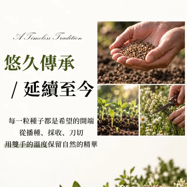 【捷克國寶菠家】玫瑰臉部亮白菁華霜x1(50g/瓶)