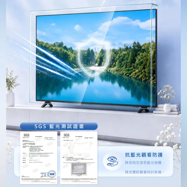 PROVISION 寶視傑 55吋高透光電視防撞抗藍光保護鏡 55PROV1(三年保固)