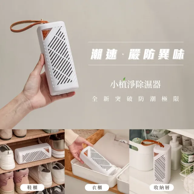 【SANSUI 山水】2入組-小植淨除濕器(GRA360*2)除溼 防霉 除濕器 迷你除濕機 懸掛直放 雨季 除濕 無線綠能