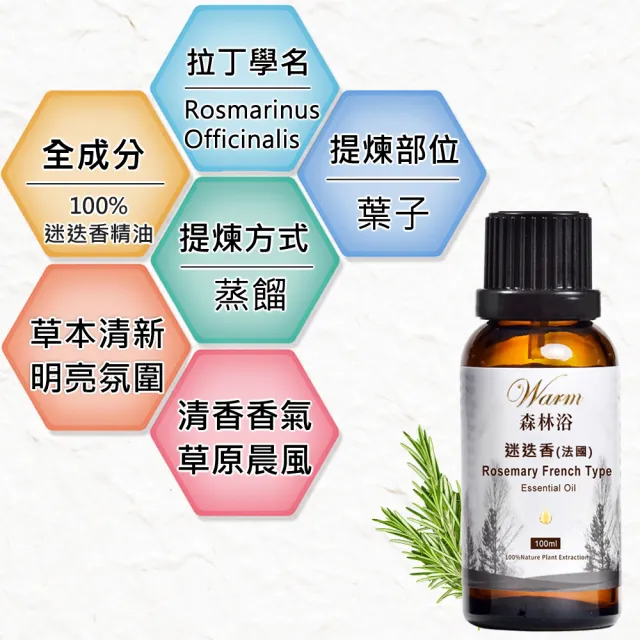 【Warm】森林浴系列單方純精油-茶樹100ml+迷迭香100ml+澳洲尤加利30ml(草本清新+空氣清香)