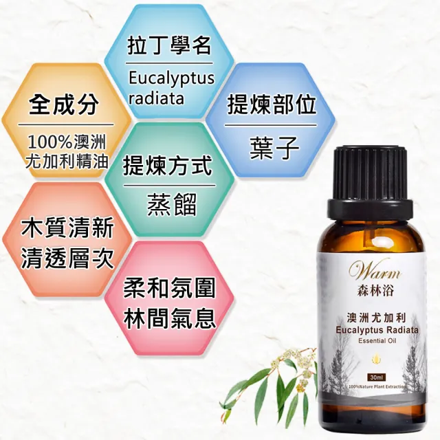 【Warm】森林浴系列單方純精油-茶樹100ml+迷迭香100ml+澳洲尤加利30ml(草本清新+空氣清香)