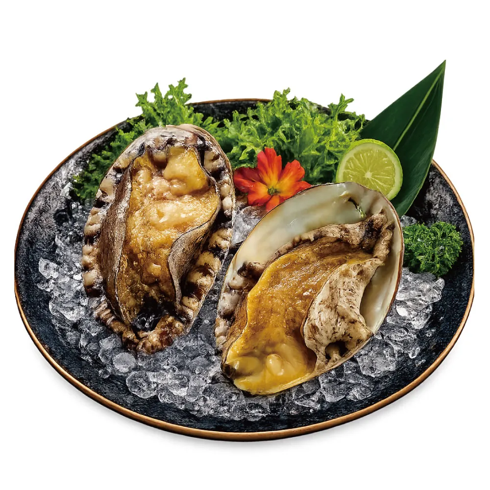 【小川漁屋】南非活凍帶殼鮑魚1包(500g±10%/包/約6-8粒)