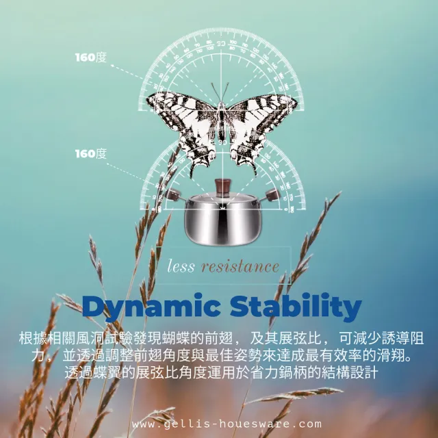 【GELLIS 鵲利仕】今日限定20cmTAEGU獺古鍋系列精鑄316一體成型節能省力含蓋雙耳萬用鍋湯鍋牛奶鍋IH爐可