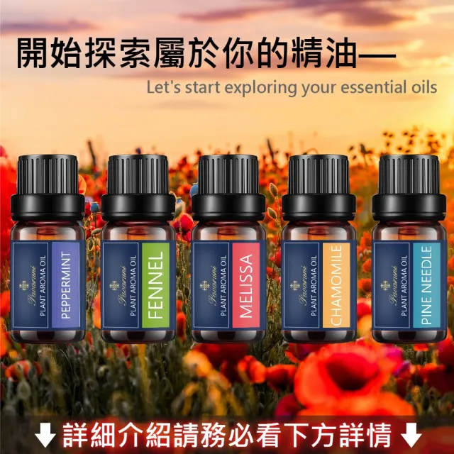 【Pavaruni】美國天然植物精油禮盒四入組萃取香薰擴香精油香氛(薰香機 香薰 芳香 水氧機 擴香石)