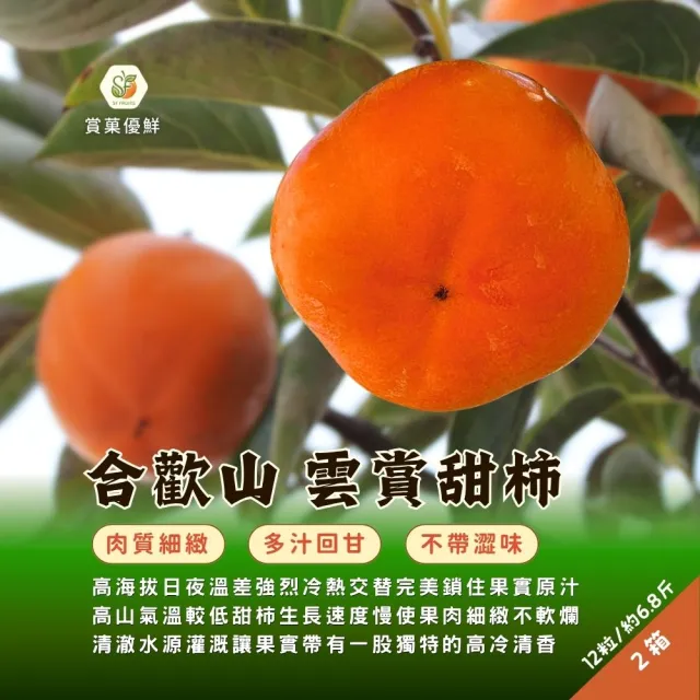 【賞菓優鮮】合歡山高海拔雲賞甜柿10A箱裝2箱(12粒/6.75斤X2箱)(秋天的營養寶庫_完熟現採_產地直送)