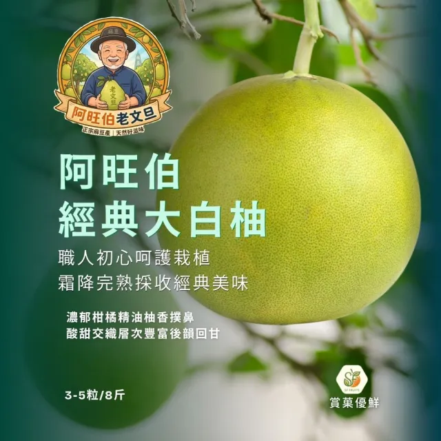 【賞菓優鮮】台南麻豆阿旺伯經典大白柚精美箱裝1箱(3-5粒/8斤)(霜降甘露40年老欉_產地鮮採直送)