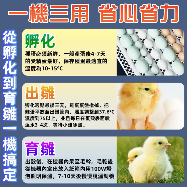 【艾嘉圖】110V孵蛋機 鴨鵝鴿孵化機 自動翻蛋 48枚孵蛋器 家用孵蛋器 全自動孵蛋機 小型孵化器