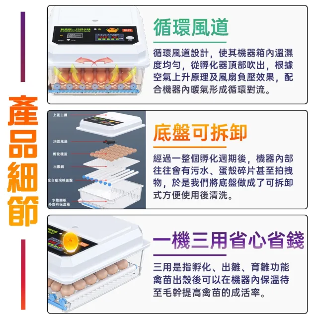 【艾嘉圖】110V孵蛋機 鴨鵝鴿孵化機 自動翻蛋 48枚孵蛋器 家用孵蛋器 全自動孵蛋機 小型孵化器