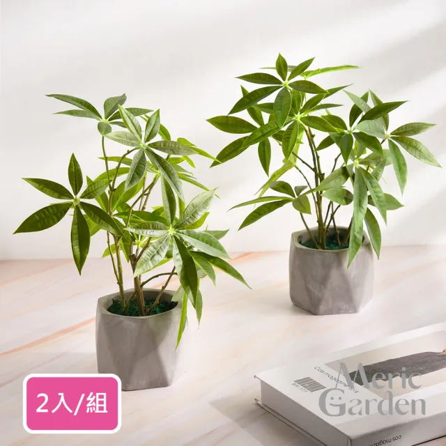 【Meric Garden】高仿真招財發財樹療癒手工水泥小盆栽_2入一組 (辦公室必備 招財樹 微景觀 招財必備)