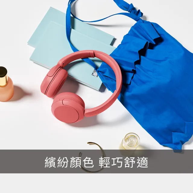 【SONY 索尼】無線藍牙耳罩式耳機 WH-CH530 (公司貨 保固12個月)