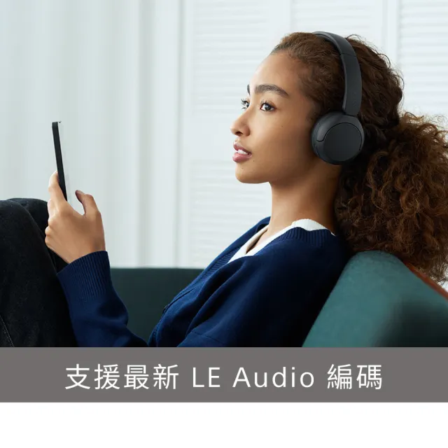 【SONY 索尼】無線藍牙耳罩式耳機 WH-CH530 (公司貨 保固12個月)