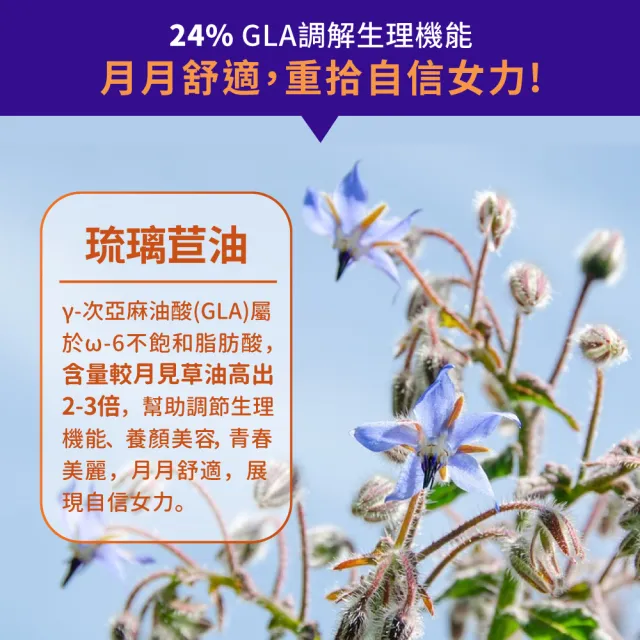【NOW Foods】琉璃苣油膠囊1瓶(60顆)