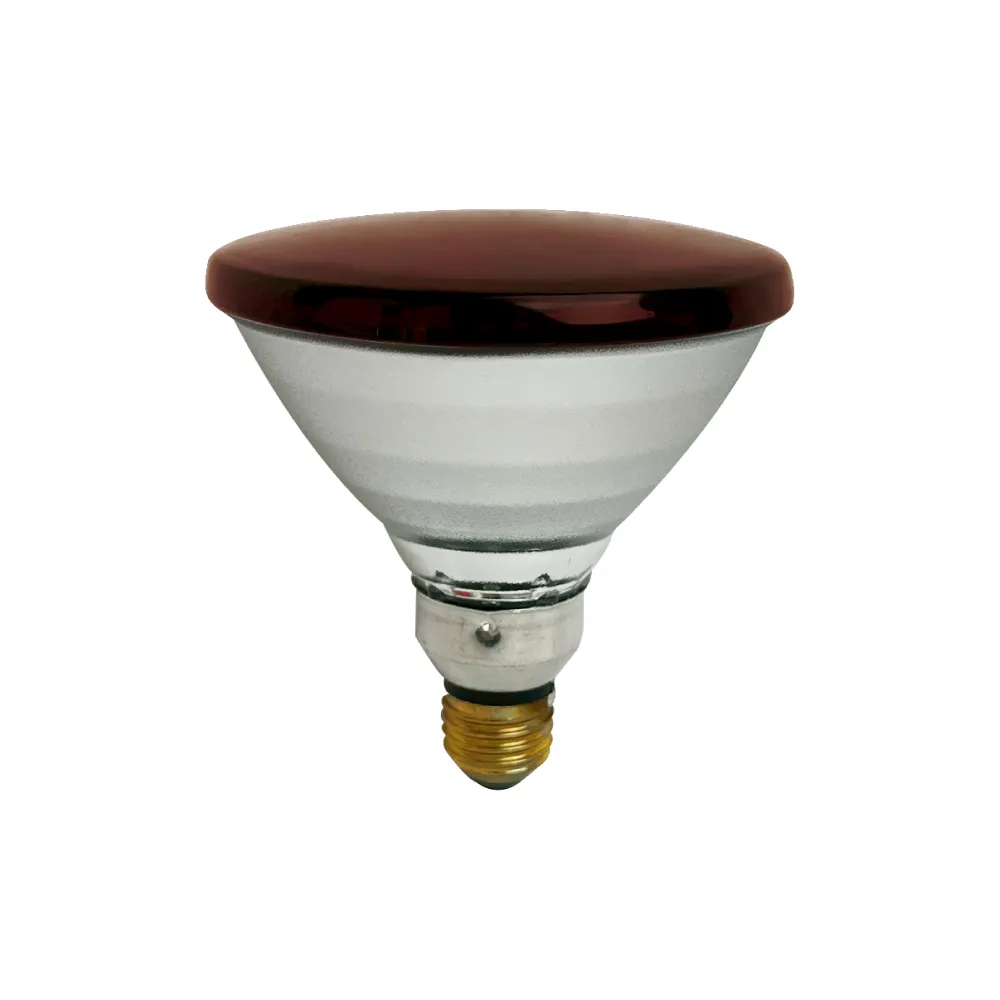 【Philips 飛利浦】2入組 PAR38E 150W E27 紅外線燈泡 溫熱燈泡 加熱燈泡 熱敷 保溫 歐洲製