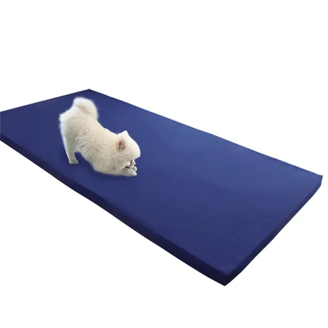 【BEARBED 熊棉】「台灣製」迷你尺寸厚度5cm 防潑水 2x4尺 彈力床墊 防潑水輕巧彈力床墊