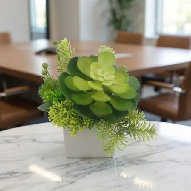 【HUGO DECO 榆果傢飾】大寶石蓮諾貝松香氛植栽(擬真植物/人造盆栽/綠化/佈置/禮物)